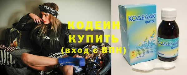 метадон Богданович