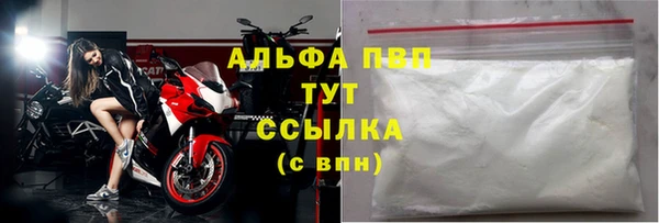 метадон Богданович