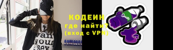 метадон Богданович