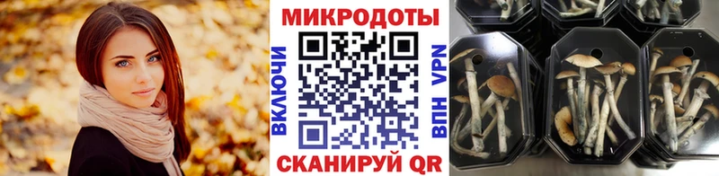 Псилоцибиновые грибы Psilocybine cubensis  Купить  Раменское 